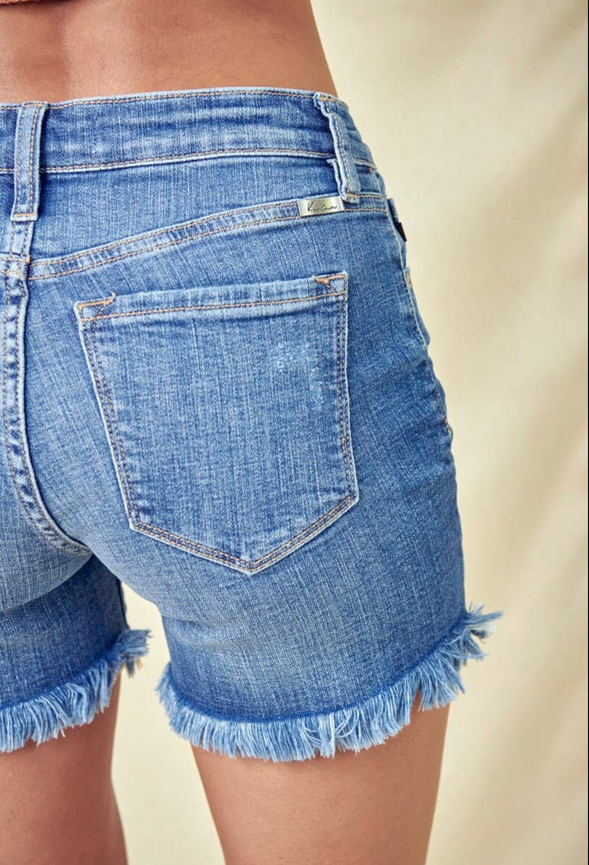 High Rise Frayed Hem Denim Shorts