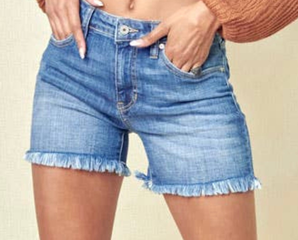 High Rise Frayed Hem Denim Shorts