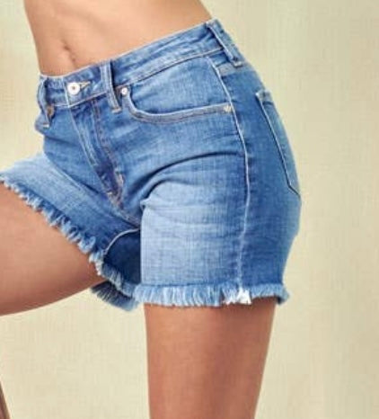 High Rise Frayed Hem Denim Shorts